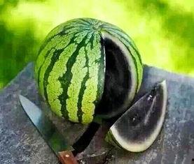 带你吃瓜葱花舞蹈视频,带你领略瓜界新潮流 第3张 带你吃瓜葱花舞蹈视频,带你领略瓜界新潮流 第3张