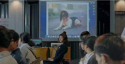 吃瓜群众拍摄吃瓜视频,揭秘吃瓜群众拍瓜视频背后的故事 第2张 吃瓜群众拍摄吃瓜视频,揭秘吃瓜群众拍瓜视频背后的故事 第2张