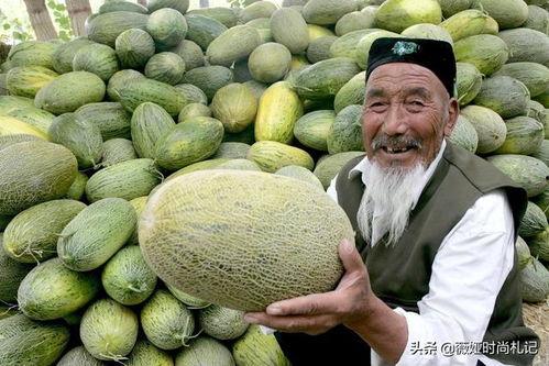 山东人吃新疆哈密瓜视频,尽享丝路甜蜜之旅