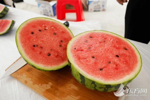 吃瓜上海视频,吃瓜视频背后的城市生活画卷  第2张