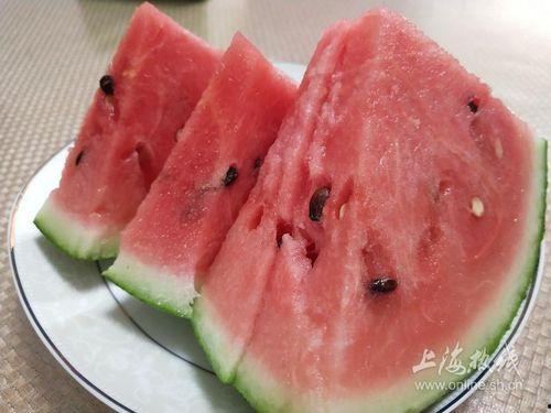 吃瓜上海视频,吃瓜视频背后的城市生活画卷  第3张