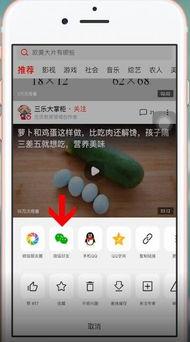 吃瓜微信视频,一场视觉盛宴背后的故事  第3张