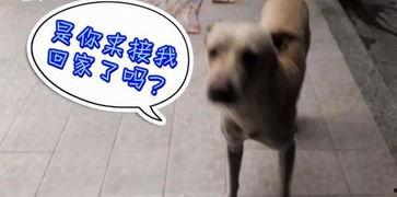 吃瓜还得看朋友的视频吗,揭秘朋友视频中的那些精彩瞬间