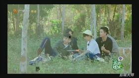 女团成员吃瓜视频大全集,揭秘幕后花絮与趣味瞬间