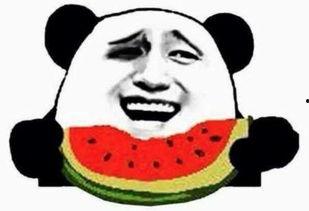 吃瓜群众骂街视频播放大全,吃瓜群众骂街视频大盘点 第2张 吃瓜群众骂街视频播放大全,吃瓜群众骂街视频大盘点 第2张