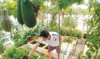 东城楼顶冻腚的吃瓜视频,一场冰火两重天的网络热议 第3张 东城楼顶冻腚的吃瓜视频,一场冰火两重天的网络热议 第3张