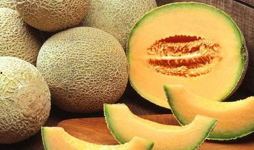 鱼儿吃哈密瓜视频大全下载,趣味视频大全下载推荐 第3张 鱼儿吃哈密瓜视频大全下载,趣味视频大全下载推荐 第3张