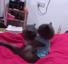 吃瓜视频动态图片