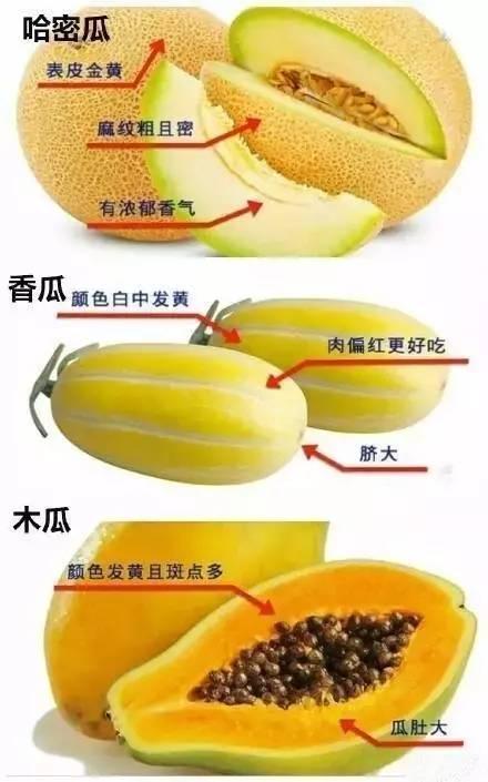 水果瓜该怎么吃才好吃视频,解锁最佳食用技巧