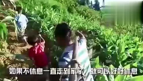 慈利吃瓜事件视频最新,视频揭露惊人真相,网友热议不断 第3张 慈利吃瓜事件视频最新,视频揭露惊人真相,网友热议不断 第3张