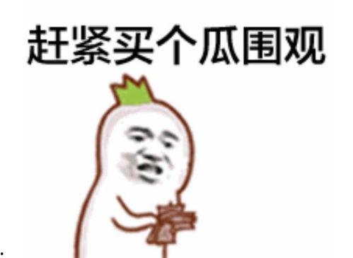 山水吃瓜群众视频,揭秘视频背后的趣味与思考  第3张