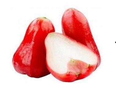 莲雾吃瓜视频,揭秘网红美食背后的故事  第2张