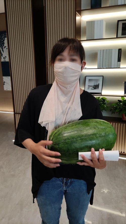 刘大瓜吃大头菜视频大全 第2张 刘大瓜吃大头菜视频大全 第2张