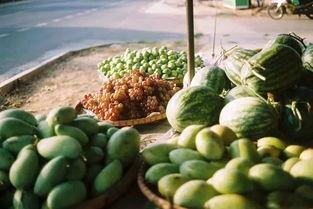 黑龙江科技吃瓜视频,揭秘网络热传视频背后的科技趣闻 第2张 黑龙江科技吃瓜视频,揭秘网络热传视频背后的科技趣闻 第2张