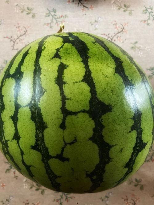 香港演出吃瓜视频,吃瓜观众捕捉精彩瞬间