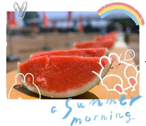 订婚现场吃瓜视频大全 第2张 订婚现场吃瓜视频大全 第2张