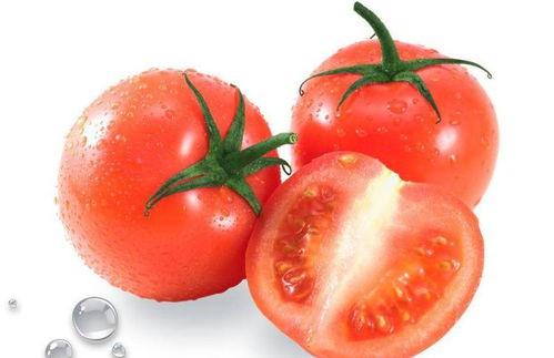 给小瓜吃番茄的视频教程,轻松学会制作美味番茄小瓜