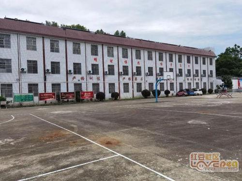 柳州城市吃瓜事件视频曝光,视频曝光引发网友热议 第2张 柳州城市吃瓜事件视频曝光,视频曝光引发网友热议 第2张