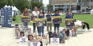 韩国民众吃瓜视频大全在线观看,趣味横生的日常生活瞬间  第3张