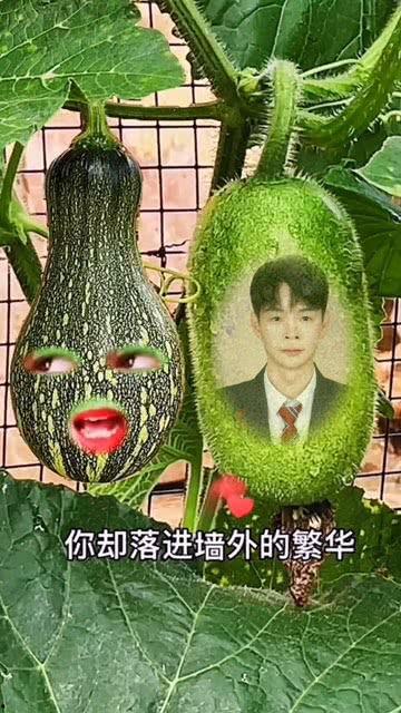 特效吃瓜人视频,揭秘网络热梗背后的趣味与智慧  第2张