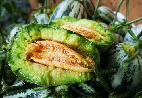 山东两位网红吃瓜视频曝光,揭秘娱乐圈惊人内幕 第2张 山东两位网红吃瓜视频曝光,揭秘娱乐圈惊人内幕 第2张