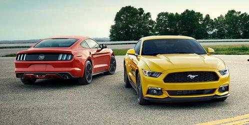 野马吃瓜视频大全,揭秘动物界的趣味瞬间  第2张