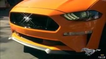 野马吃瓜视频大全,揭秘动物界的趣味瞬间  第3张