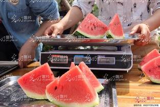 山东临沂吃瓜事件视频,一场网络热议的真相追踪  第2张