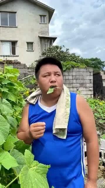 吃瓜视频被抓是真的吗,真相揭秘 第2张 吃瓜视频被抓是真的吗,真相揭秘 第2张