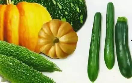 吃二瓜的危害视频大全集 第2张 吃二瓜的危害视频大全集 第2张