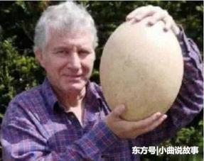 吉尼斯吃瓜视频,吃瓜速度大比拼,谁将成为瓜界王者? 第2张 吉尼斯吃瓜视频,吃瓜速度大比拼,谁将成为瓜界王者? 第2张