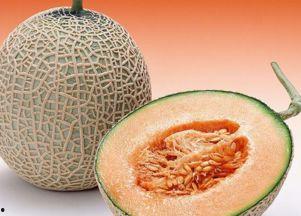 大马猴吃哈密瓜视频大全,哈密瓜视频大全趣味盘点 第2张 大马猴吃哈密瓜视频大全,哈密瓜视频大全趣味盘点 第2张