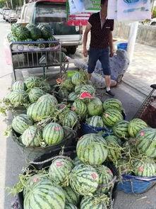 临沂十大吃瓜事件视频,揭秘网络热议背后的真相瞬间