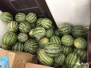 四川共青团吃瓜视频 第2张 四川共青团吃瓜视频 第2张