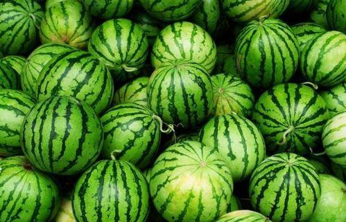 四条吃瓜视频,四部吃瓜视频揭秘娱乐圈幕后风云 第3张 四条吃瓜视频,四部吃瓜视频揭秘娱乐圈幕后风云 第3张