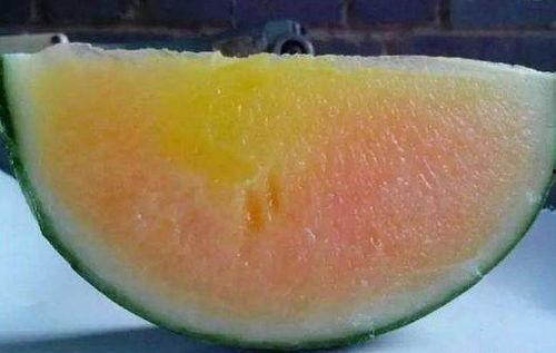 吃瓜彩虹视频,揭秘网络短视频的甜蜜诱惑 第2张 吃瓜彩虹视频,揭秘网络短视频的甜蜜诱惑 第2张