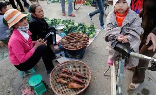 越南人吃山头瓜视频,探寻越南独特风味 第2张 越南人吃山头瓜视频,探寻越南独特风味 第2张