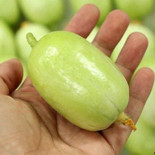 吃瓜小视频是指什么,网络时代的娱乐新风尚 第2张 吃瓜小视频是指什么,网络时代的娱乐新风尚 第2张