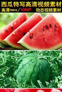 吃瓜仔视频大全,揭秘娱乐圈幕后故事 第3张 吃瓜仔视频大全,揭秘娱乐圈幕后故事 第3张