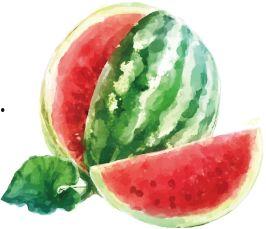 吃瓜赏花搞笑视频下载 第3张 吃瓜赏花搞笑视频下载 第3张