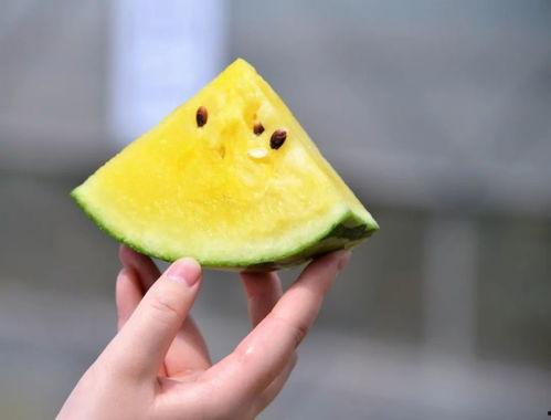 吃瓜的来了小视频,吃瓜群众集结!揭秘热门小视频背后的故事 第2张 吃瓜的来了小视频,吃瓜群众集结!揭秘热门小视频背后的故事 第2张