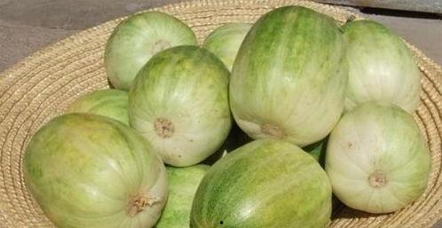 红瓜能不能天天吃呢视频 第2张 红瓜能不能天天吃呢视频 第2张