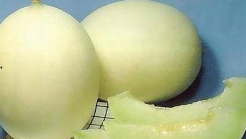 红瓜能不能天天吃呢视频 第3张 红瓜能不能天天吃呢视频 第3张