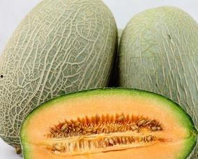 看中国吃哈密瓜视频,一场视觉与味觉的双重享受 第2张 看中国吃哈密瓜视频,一场视觉与味觉的双重享受 第2张