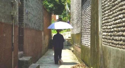 翰林学府吃瓜事件视频,揭秘校园内幕，视频曝光惊人真相  第3张