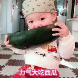 吃瓜啦小视频 第3张 吃瓜啦小视频 第3张