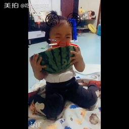 带你吃瓜作业搞笑视频,笑料横生!带你领略“带你吃瓜”搞笑视频的魅力 第2张 带你吃瓜作业搞笑视频,笑料横生!带你领略“带你吃瓜”搞笑视频的魅力 第2张