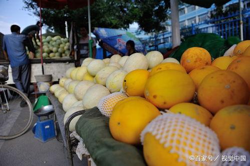 吃黄河蜜瓜最新视频 第2张 吃黄河蜜瓜最新视频 第2张