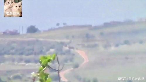 导弹吃瓜视频,揭秘军事科技与娱乐文化的奇妙碰撞  第3张