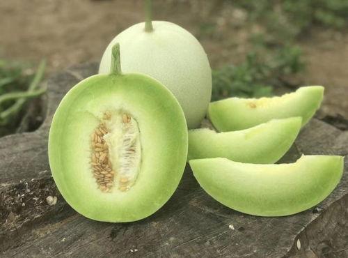 冰淇淋玉瓜怎么吃视频,夏日清凉新食尚，轻松制作教程  第2张